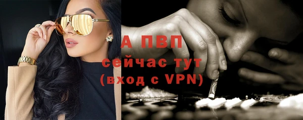 ECSTASY Бронницы