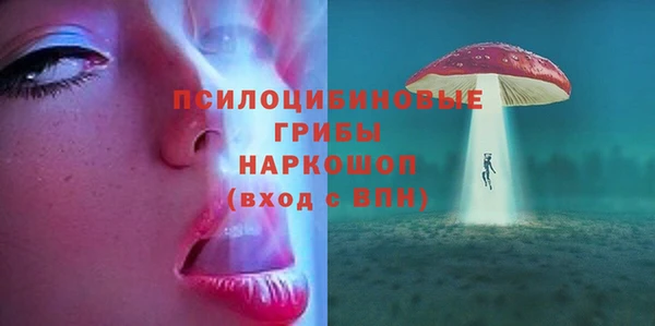 ECSTASY Бронницы