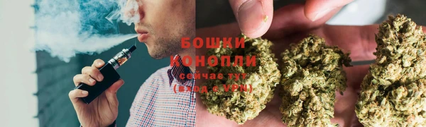 прущая мука Бородино