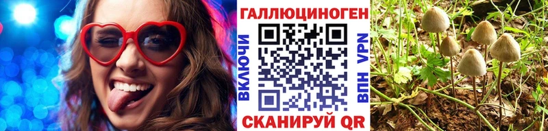 Псилоцибиновые грибы Psilocybine cubensis  мориарти официальный сайт  Киров 